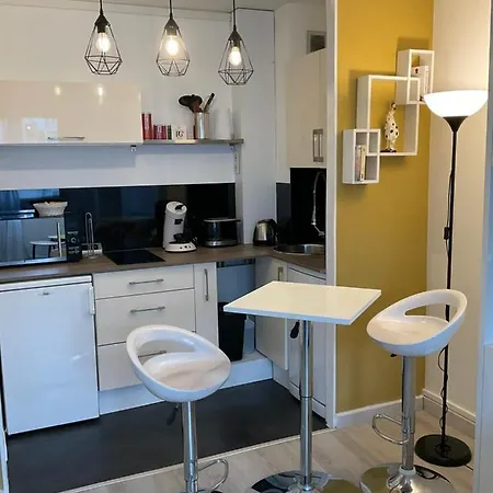 דירה Studio-champagne Lanson-proche Hopitaux-universites-parc Leo Lagrange *