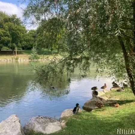 Studio-champagne Lanson-proche Hopitaux-universites-parc Leo Lagrange *