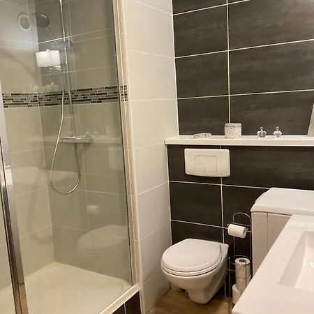 Studio-champagne Lanson-proche Hopitaux-universites-parc Leo Lagrange