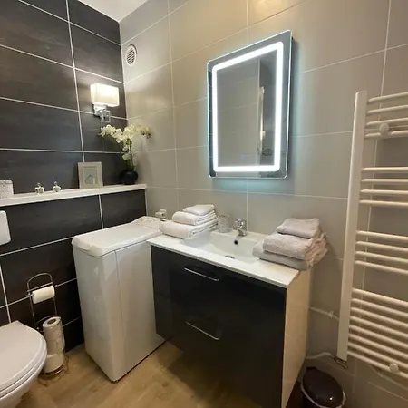 דירה Studio-champagne Lanson-proche Hopitaux-universites-parc Leo Lagrange ריימס