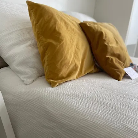 Studio-champagne Lanson-proche Hopitaux-universites-parc Leo Lagrange Apartman