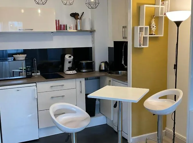 דירה Studio-champagne Lanson-proche Hopitaux-universites-parc Leo Lagrange *