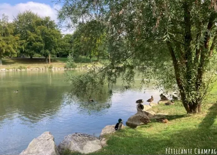 Studio-champagne Lanson-proche Hopitaux-universites-parc Leo Lagrange *