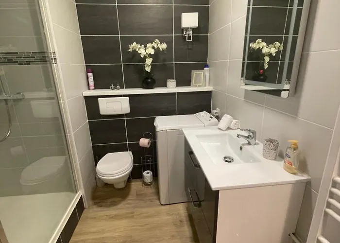 Studio-champagne Lanson-proche Hopitaux-universites-parc Leo Lagrange *