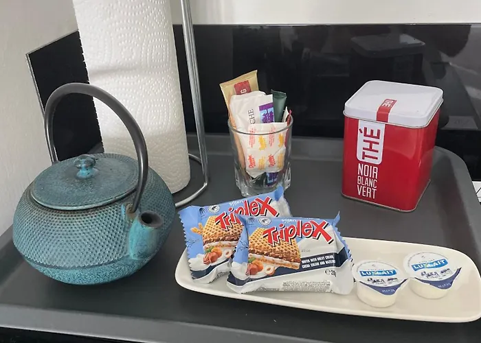 Studio-champagne Lanson-proche Hopitaux-universites-parc Leo Lagrange ריימס