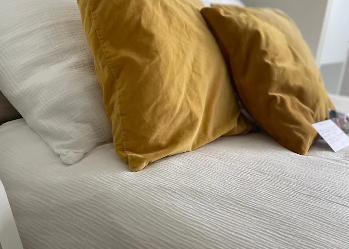 Studio-champagne Lanson-proche Hopitaux-universites-parc Leo Lagrange דירה